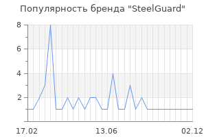 Популярность бренда SteelGuard