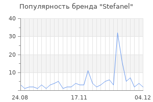Популярность бренда stefanel