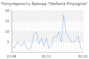 Популярность бренда stefania pinyagina