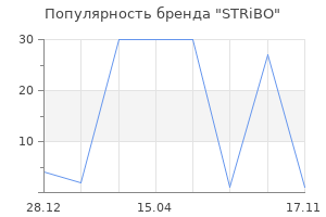 Популярность бренда STRiBO