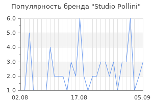 Популярность бренда studio pollini