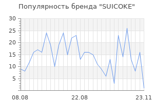 Популярность бренда suicoke