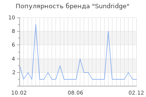 Популярность бренда sundridge