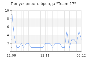Популярность бренда team 17