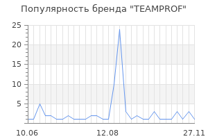 Популярность бренда TEAMPROF