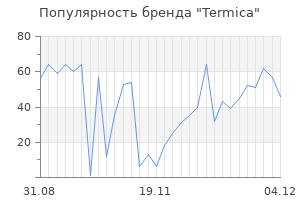 Популярность бренда termica