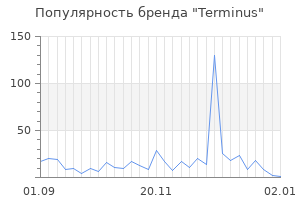 Популярность бренда terminus