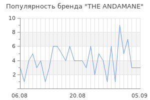 Популярность бренда the andamane