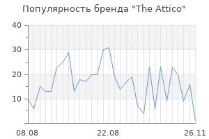 Популярность бренда the attico