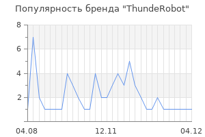 Популярность бренда ThundeRobot
