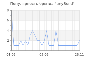 Популярность бренда tinyBuild