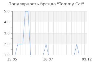 Популярность бренда Tommy Cat