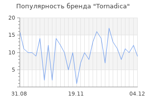 Популярность бренда tornadica