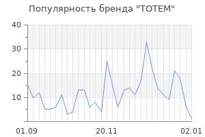 Популярность бренда totem