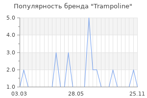 Популярность бренда trampoline