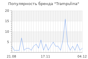 Популярность бренда trampulina