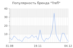 Популярность бренда trefl