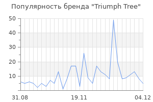 Популярность бренда triumph tree