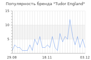 Популярность бренда tudor england