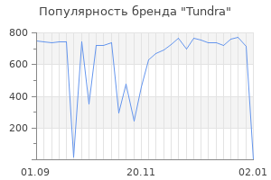 Популярность бренда tundra