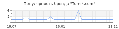 Популярность Turnik.com