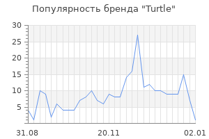 Популярность бренда turtle