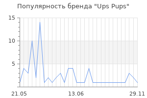Популярность бренда ups pups