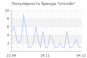 Популярность бренда ursindo