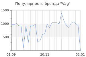Популярность бренда vag