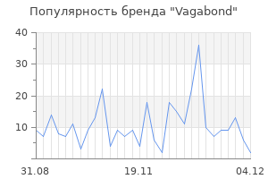 Популярность бренда vagabond