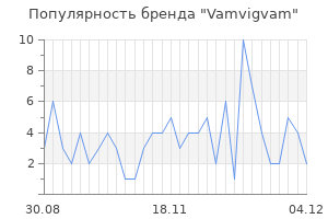 Популярность бренда vamvigvam