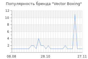 Популярность бренда Vector Boxing