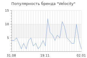 Популярность бренда velocity