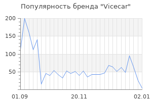 Популярность бренда Vicecar