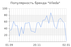 Популярность бренда vileda