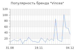 Популярность бренда Vincea