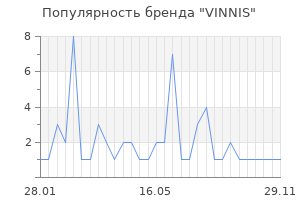 Популярность бренда vinnis