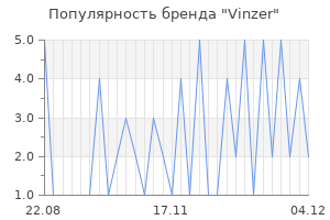 Популярность бренда Vinzer