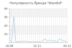 Популярность бренда Wandrd