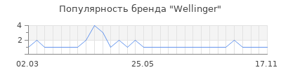 Популярность Wellinger
