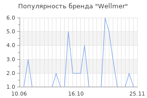 Популярность бренда wellmer