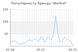 Популярность бренда werkel
