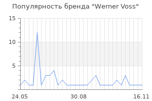 Популярность бренда Werner Voss