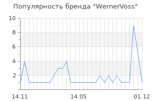 Популярность бренда WernerVoss
