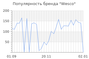 Популярность бренда wesco