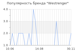 Популярность бренда westrenger