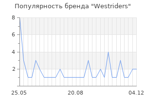 Популярность бренда westriders