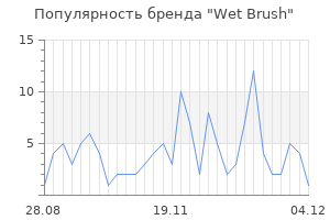 Популярность бренда wet brush