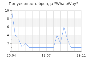 Популярность бренда WhaleWay