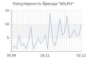 Популярность бренда wilpu